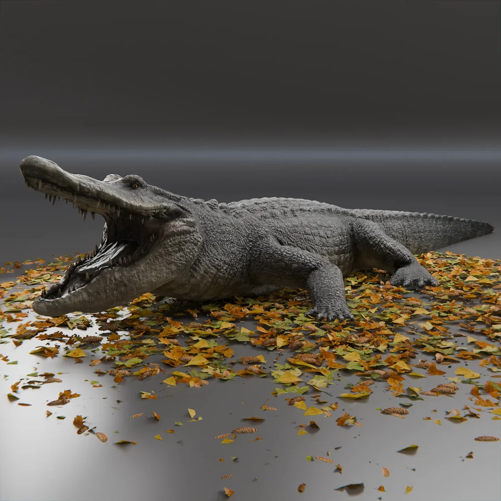 Crocodile Rigged