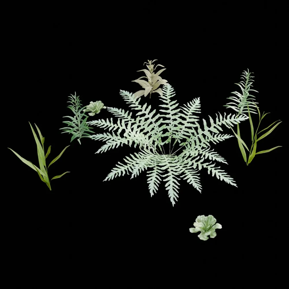 Realistic Outdoor Plants