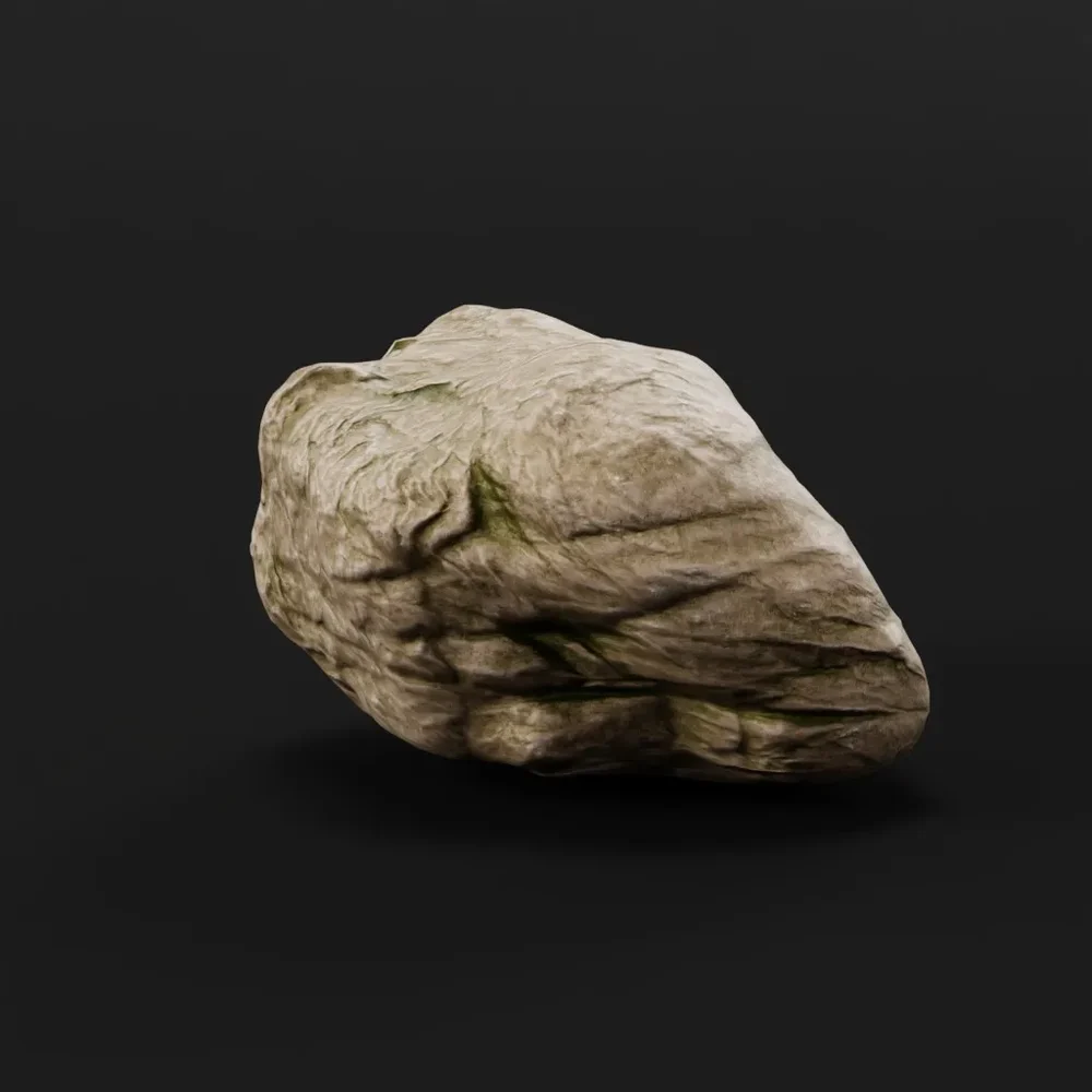 Boulder Sea Rock