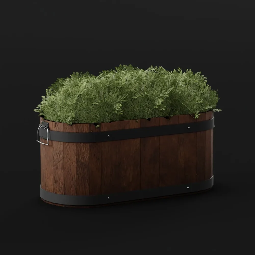 Boxwood Bush Long Pot Sml