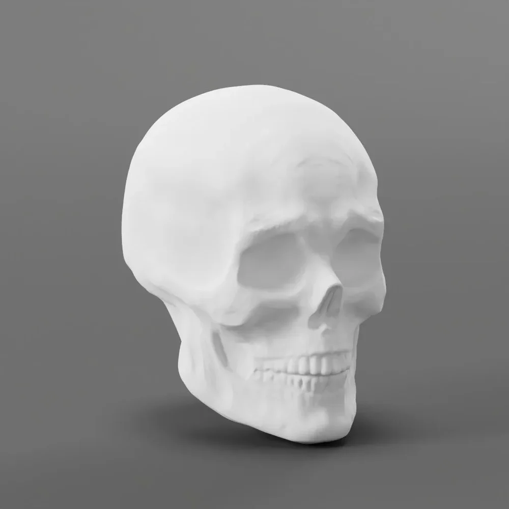 Detailed Male Head For Sculpting