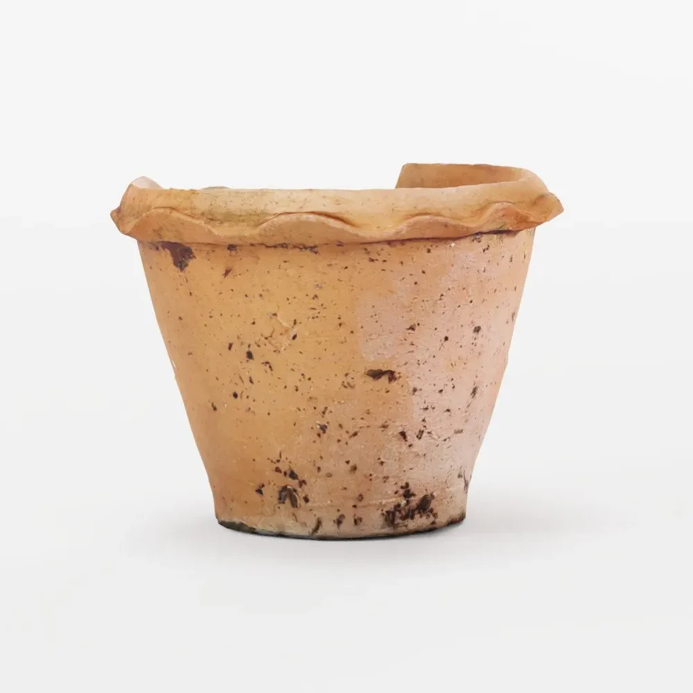 Cracked Flower Pot