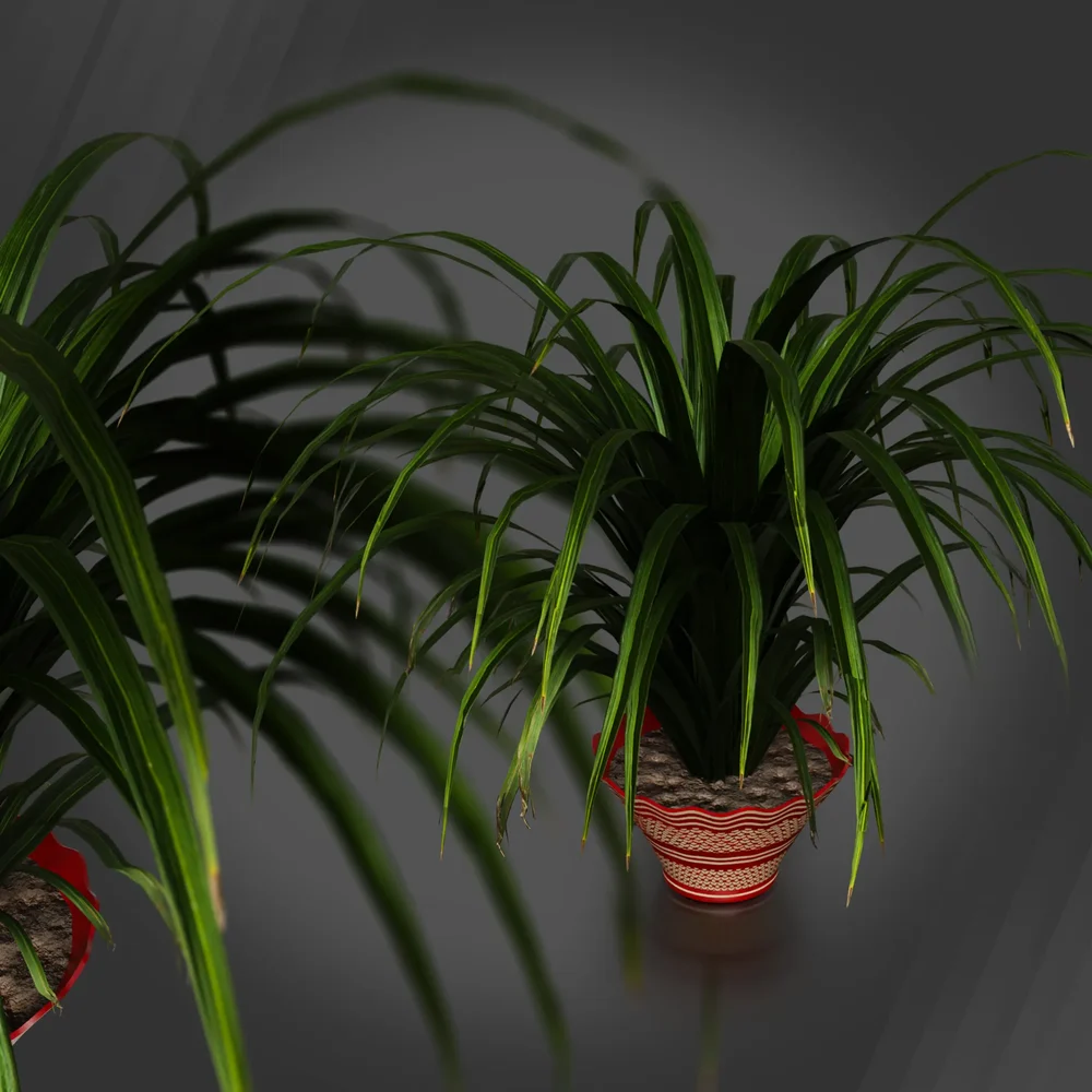 Decorative Vase