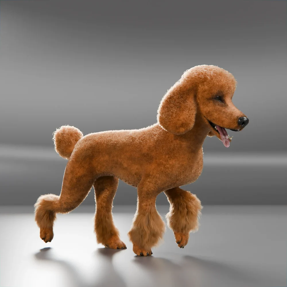 Dog Brown Poodle Rigged And Animated