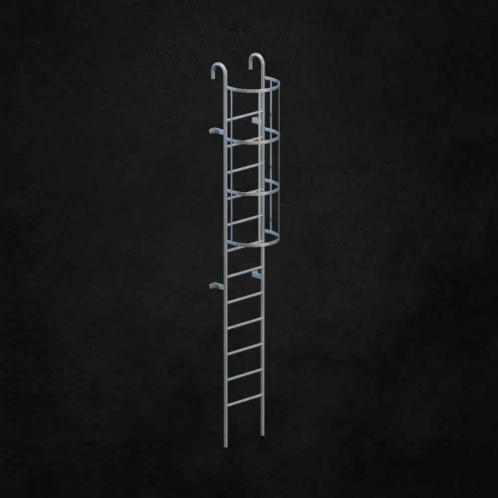 Exterior Ladder