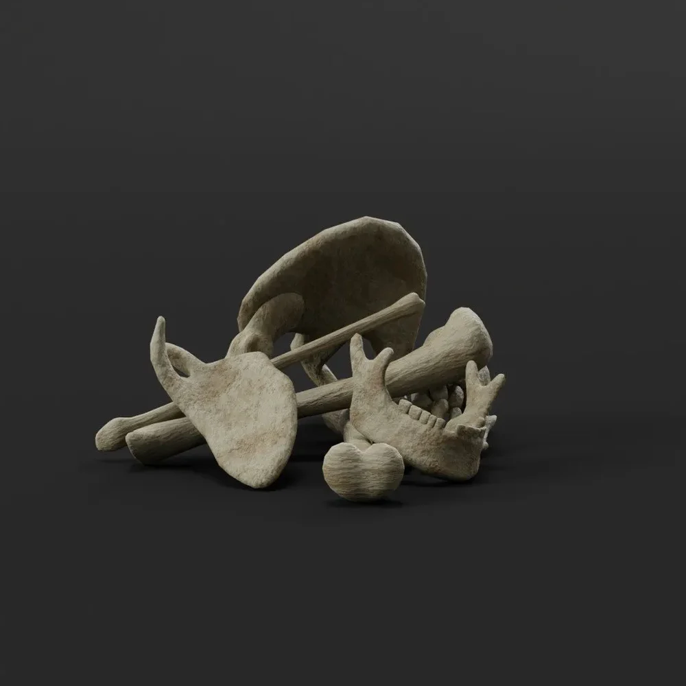 Small Bone Pile 3