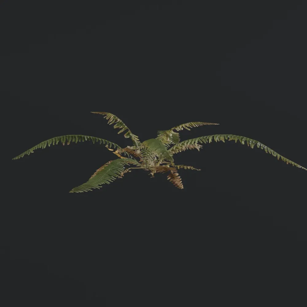 Tropical Fern D1