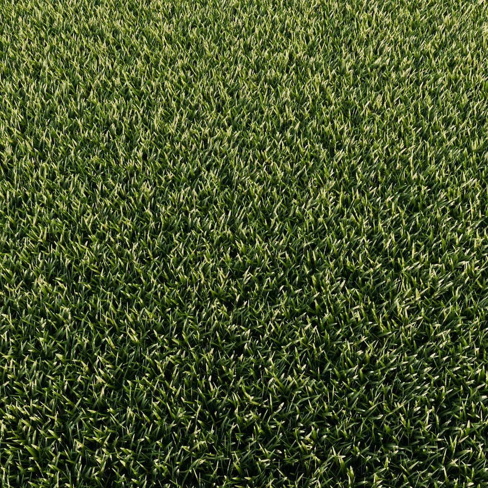 Grass - Lawn Procedural