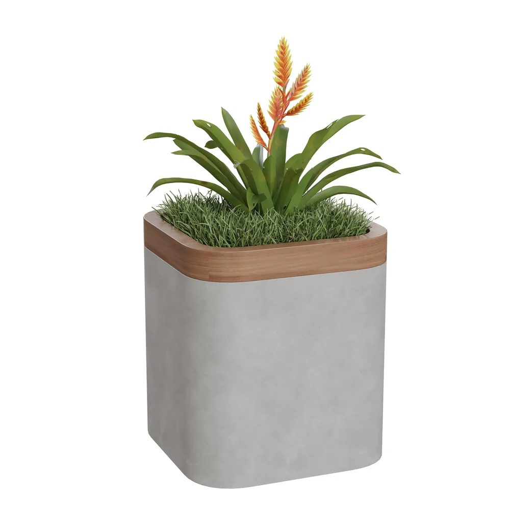 Concrete & Wood Planter With Grass