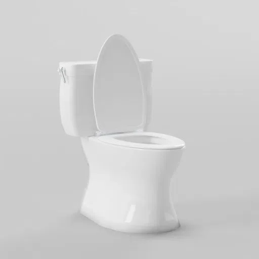 Toilet Seat