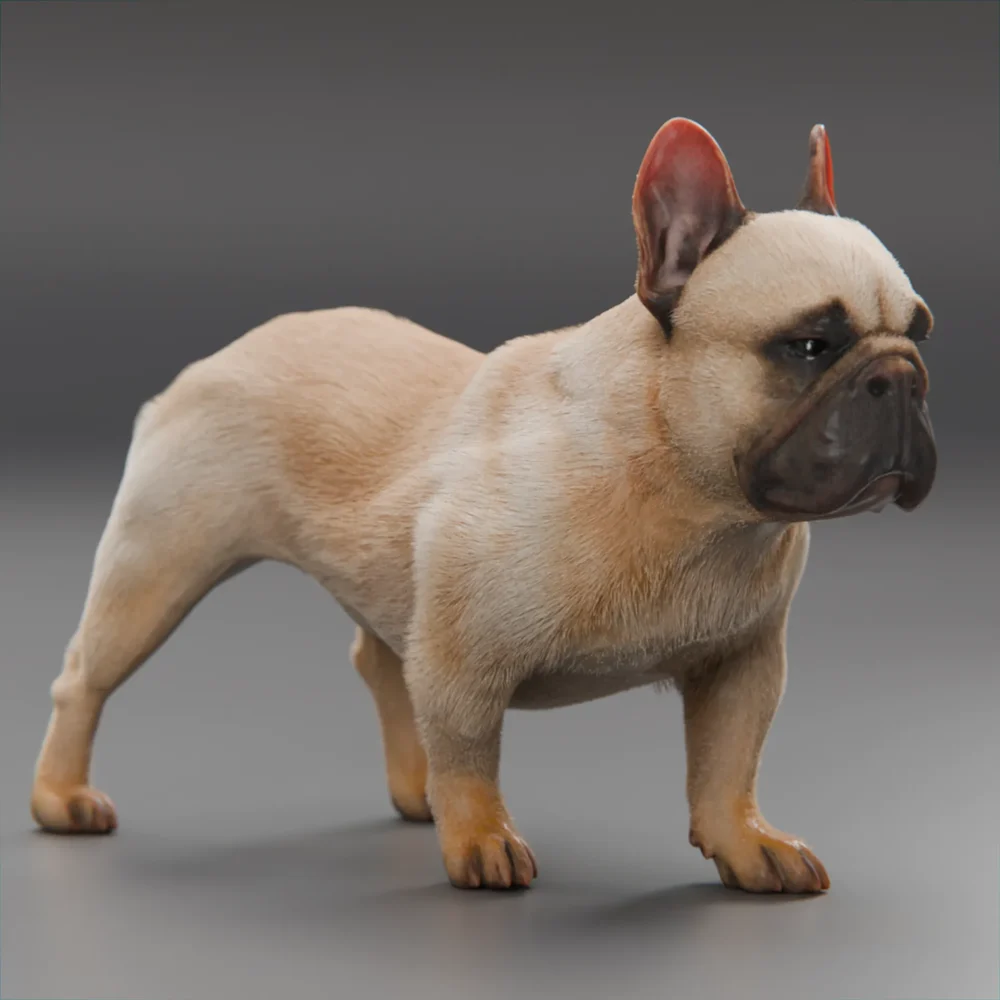Dog French Buldog Rigged And Animated Walking