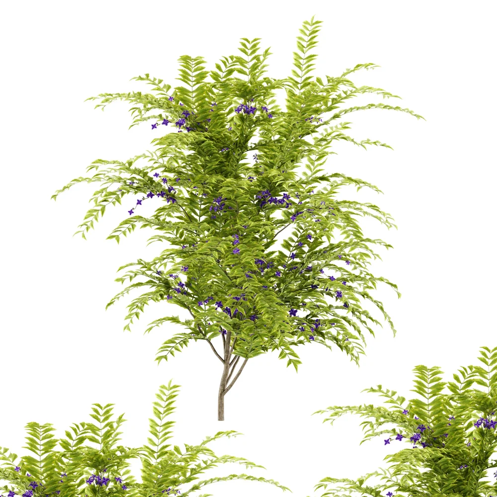 Flower Bush Plant