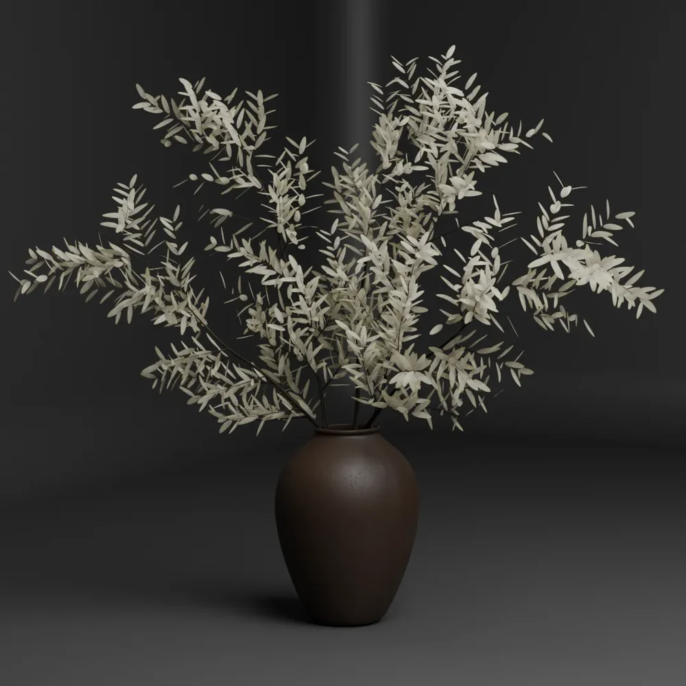 Dried Olive Branches In Vase