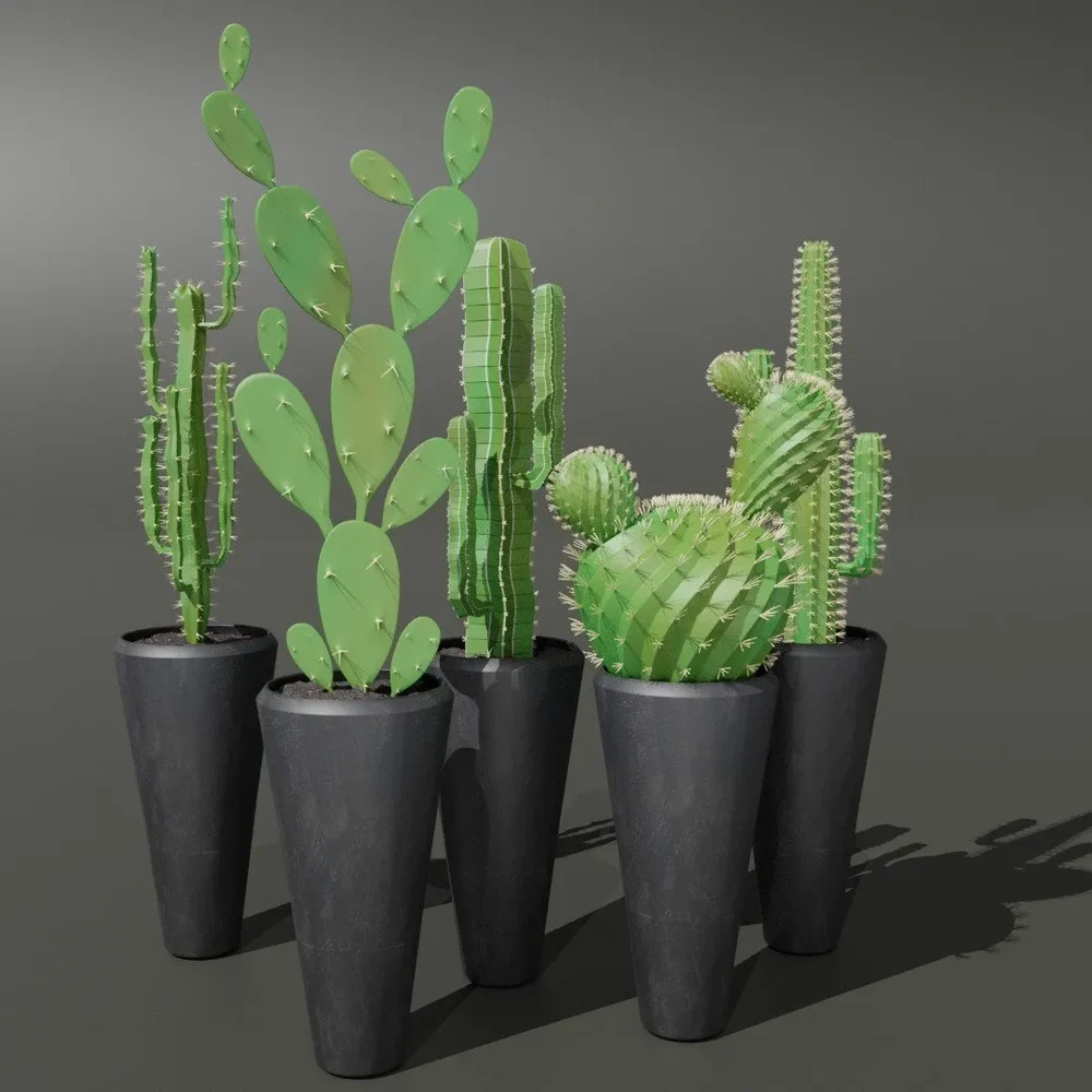 Sj-Cactus Set 03