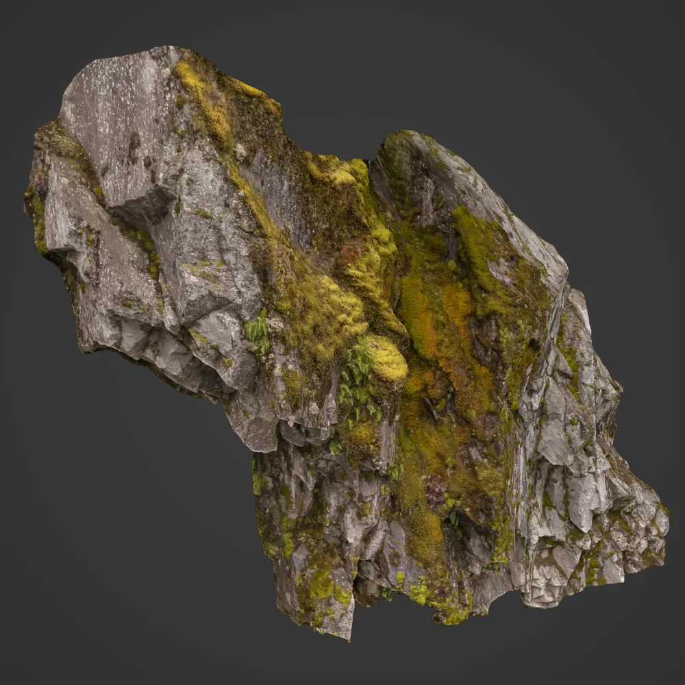 Rocky Cliff Photoscan