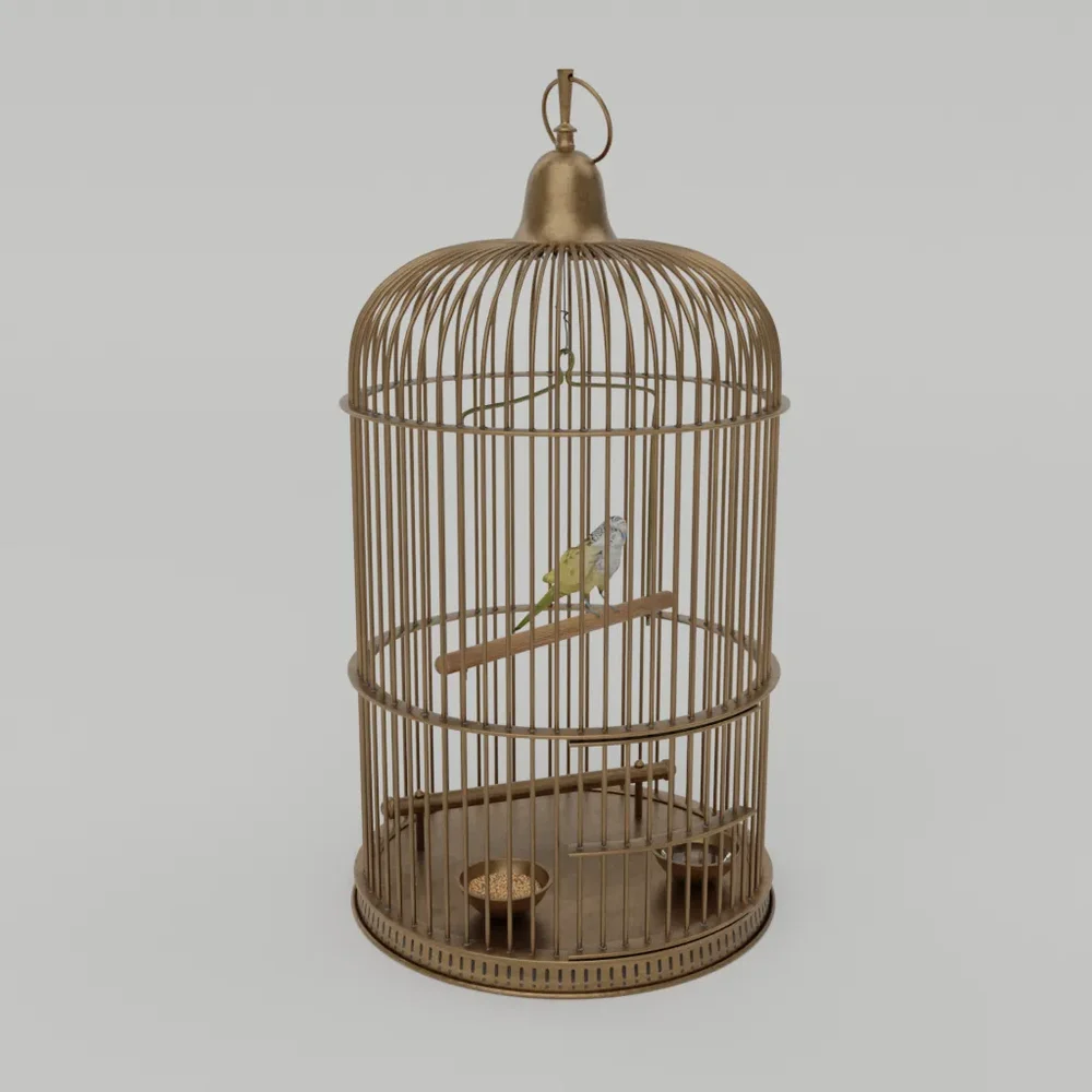 Antique Bird Cage