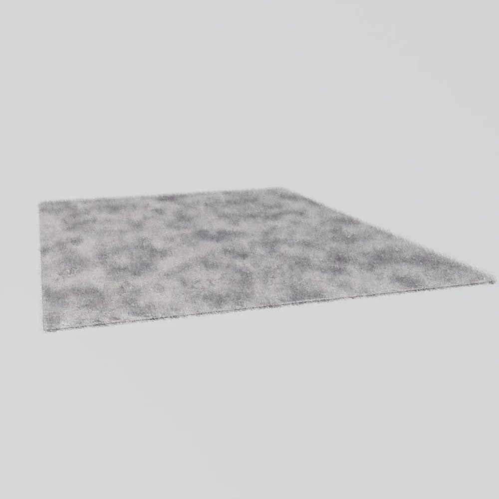 Shaggy Carpet
