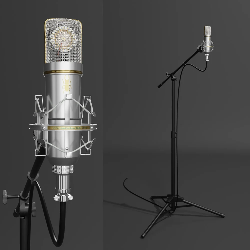 Large Diaphragm Studio Microphone.