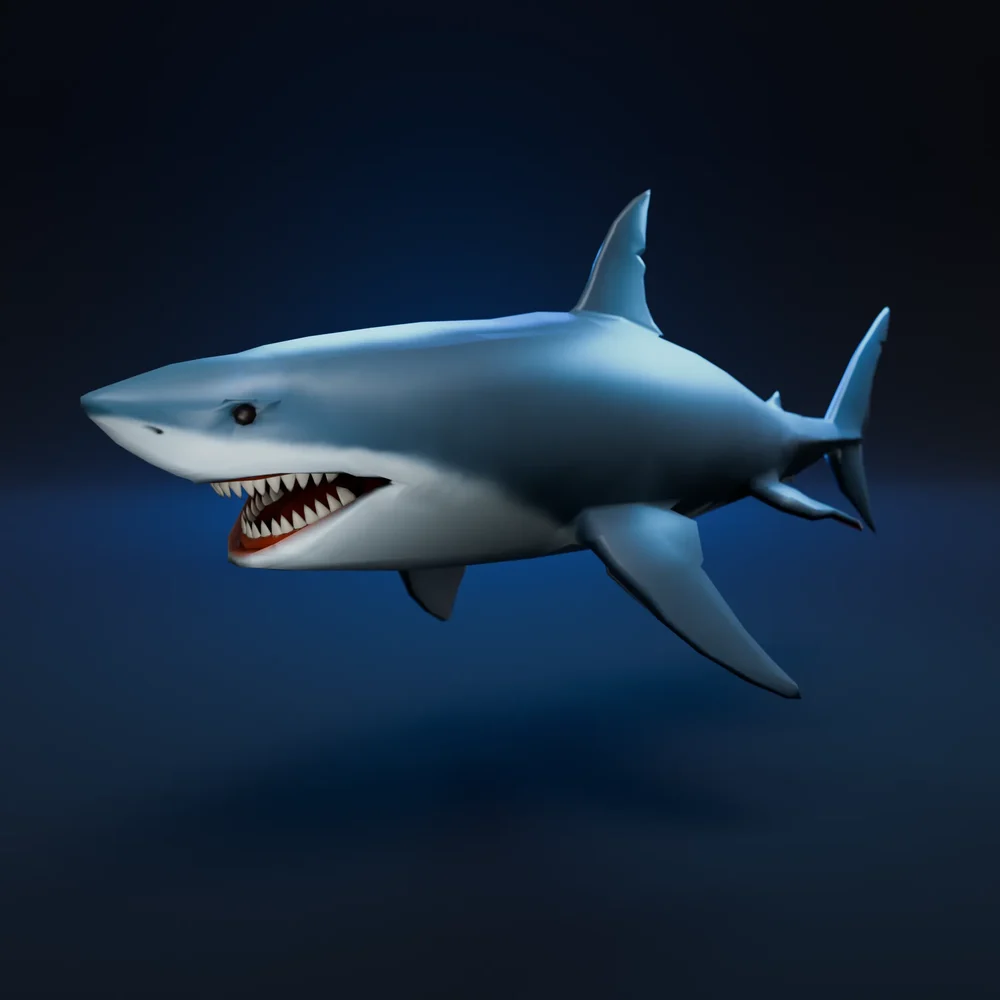 Low Poly Shark