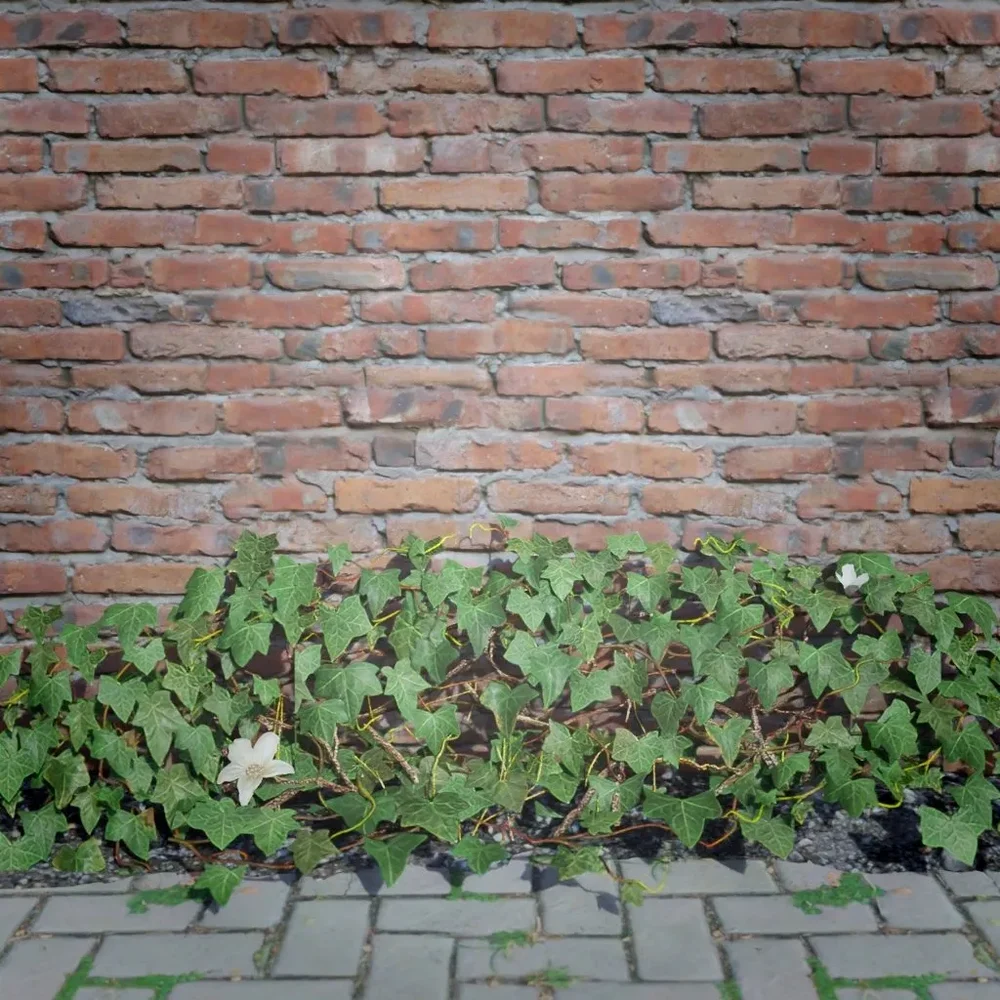 Ivy Creeper Edge 1m 01 01