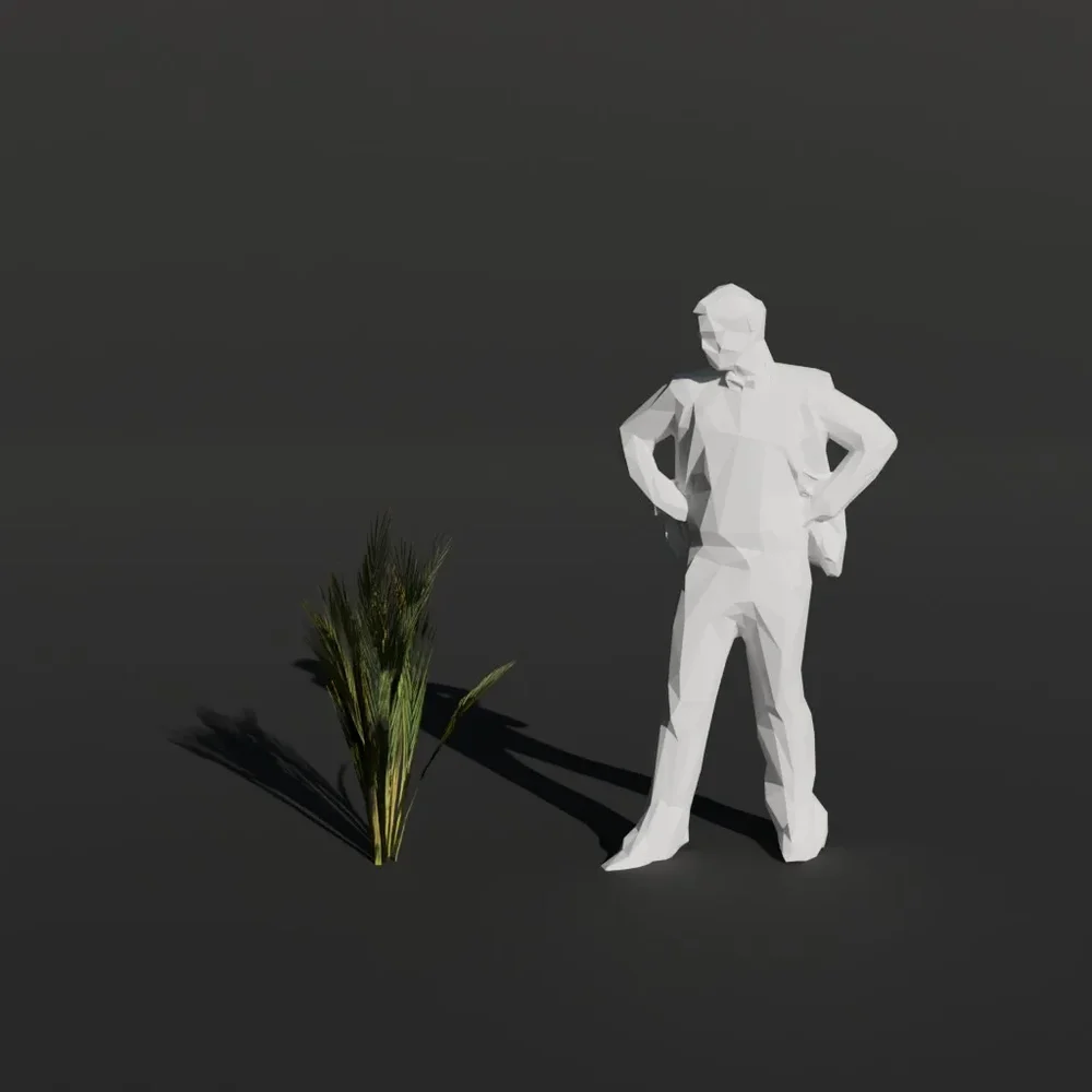 Palm Tree Small Sprout
