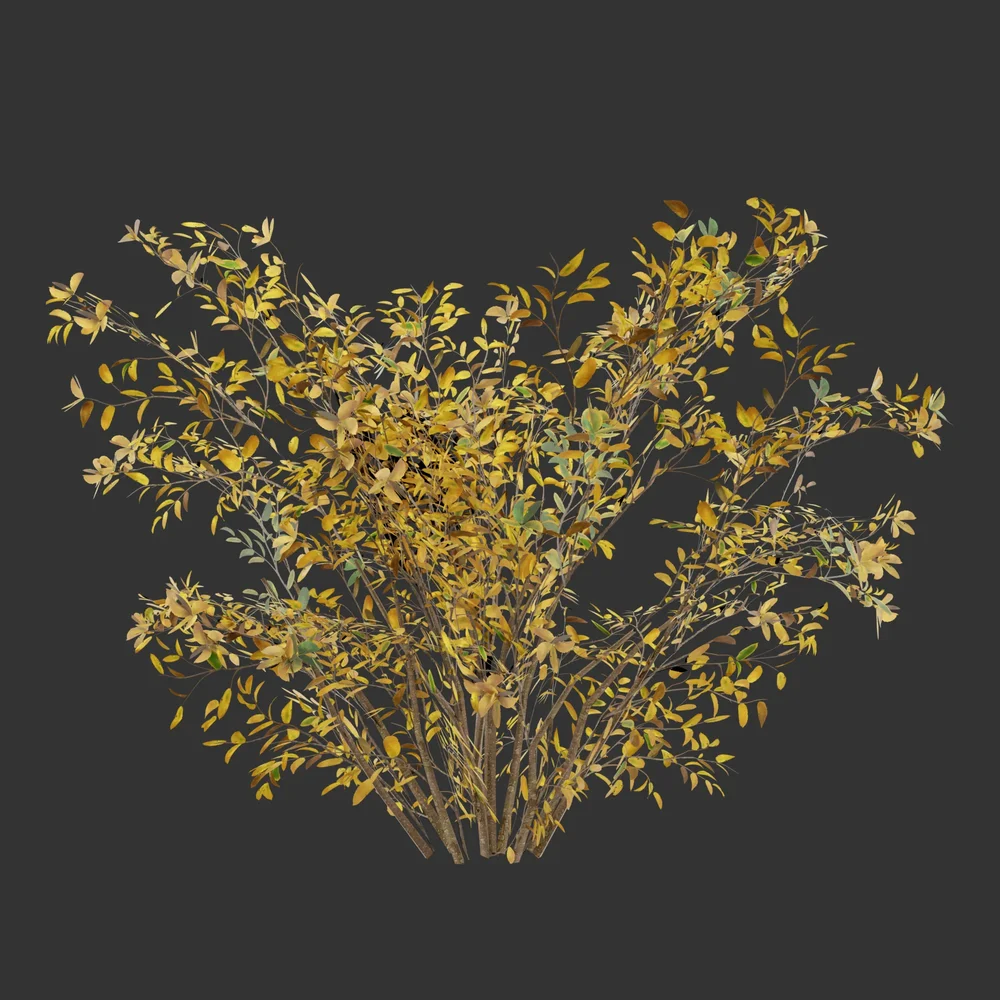 Simple Autumn Bush-Game Ready