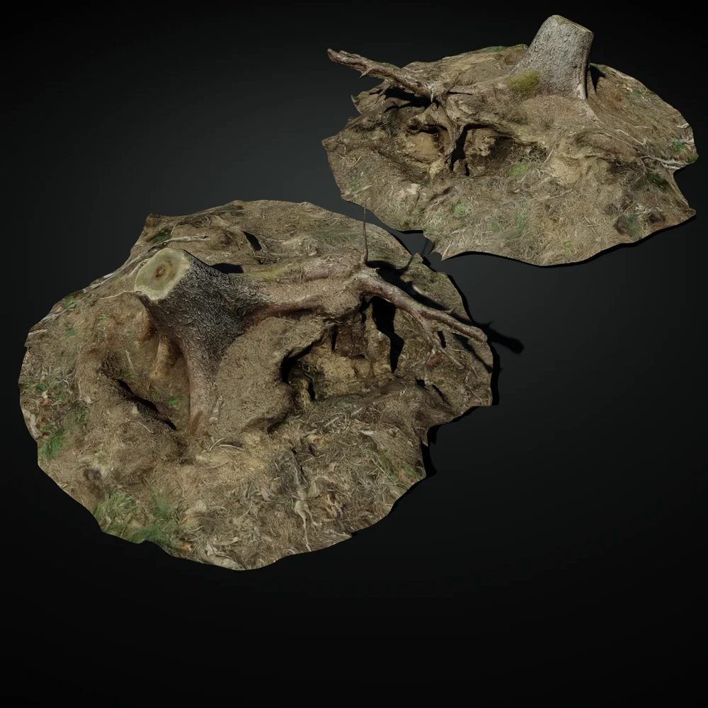 Stump 13