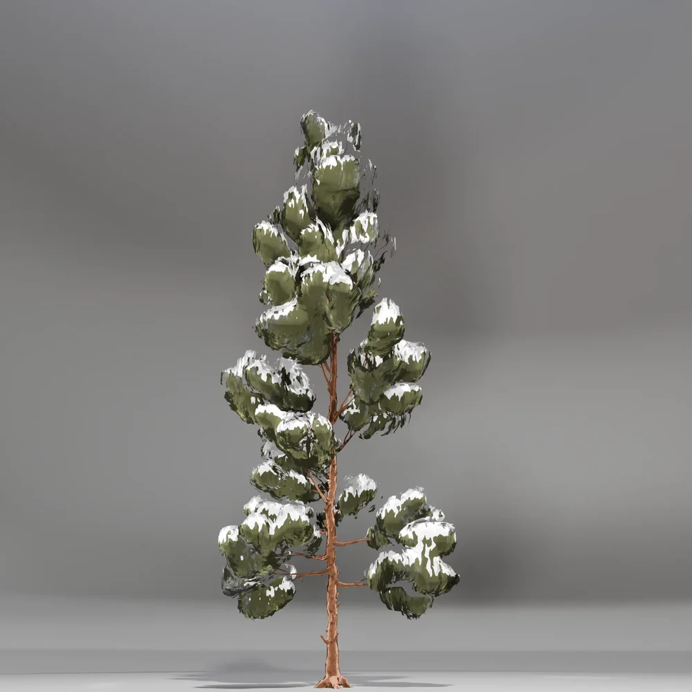 Snow Pine Toon Tree