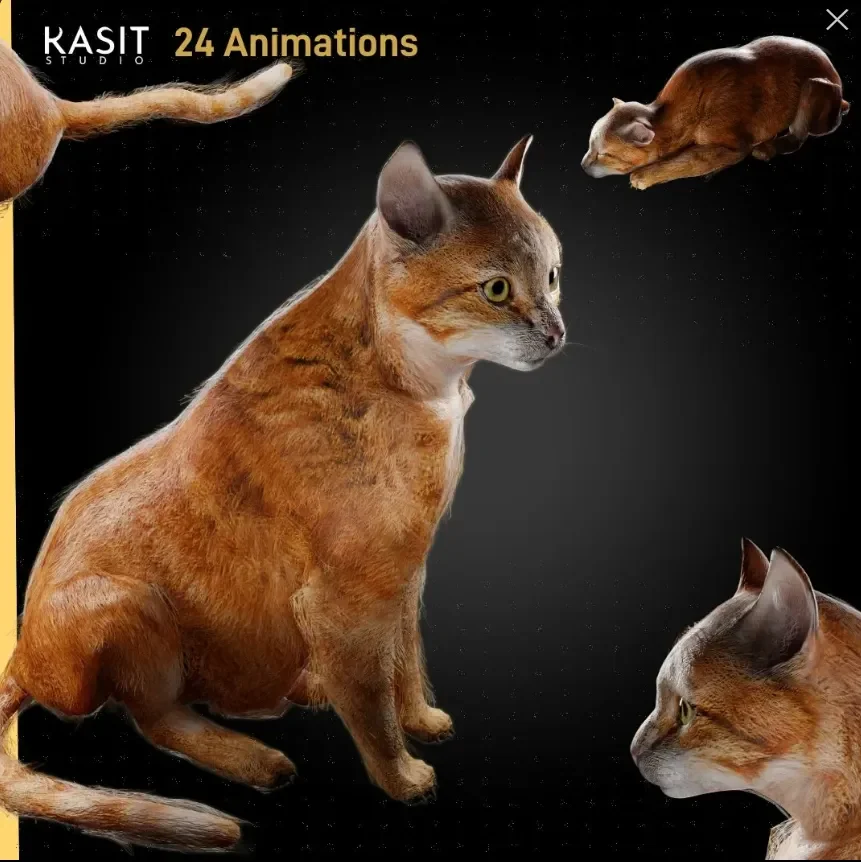 Orange Cat Animated