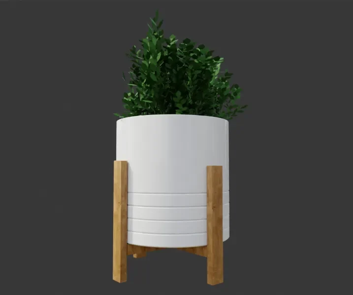 Indoor Plant With White Pot