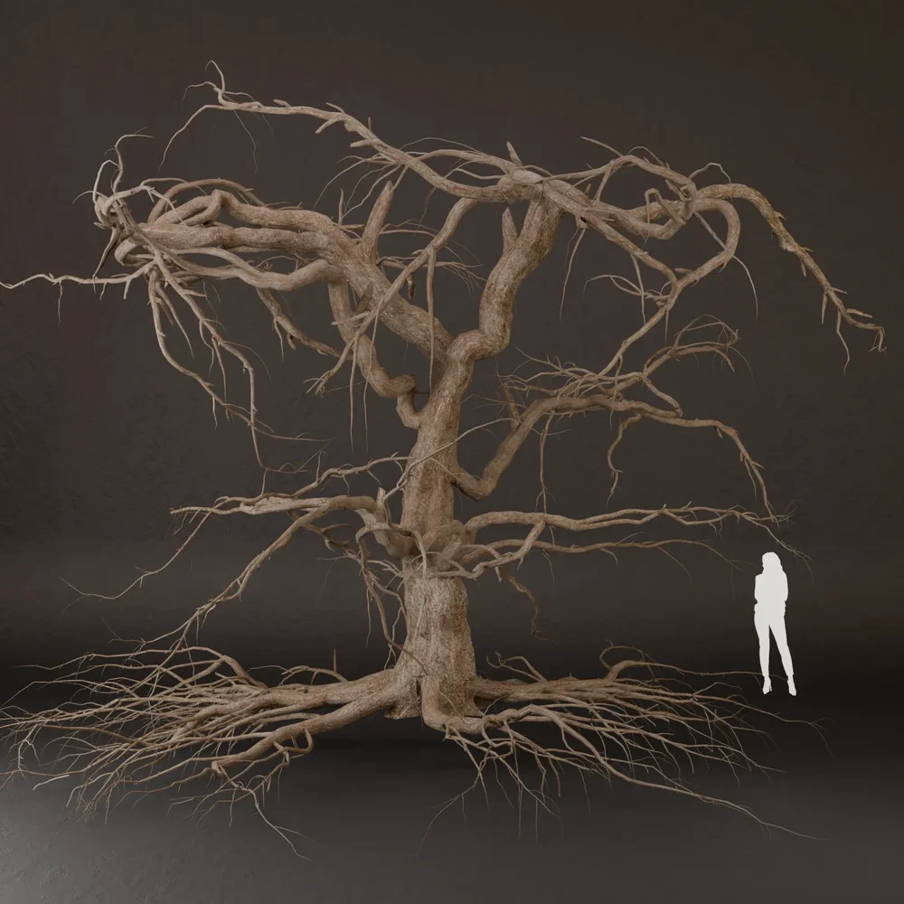 Sj-Tree Skeleton Without Foliage
