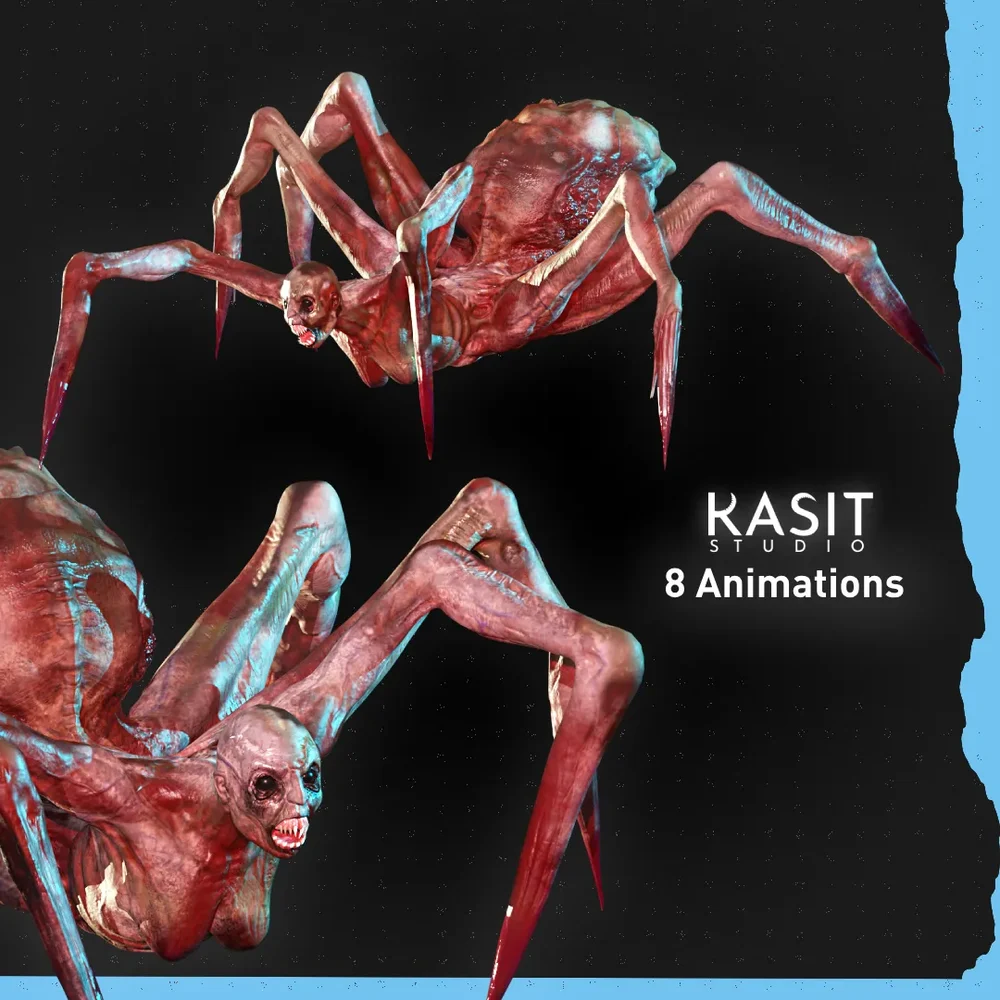 Spider Animated