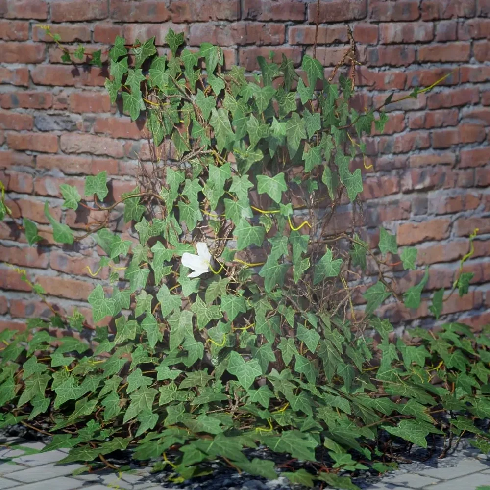 Ivy Creeper Wall Corner 2m 01
