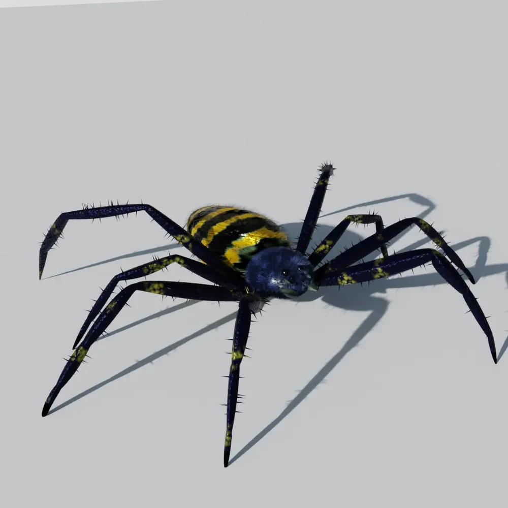 Rigged Spider