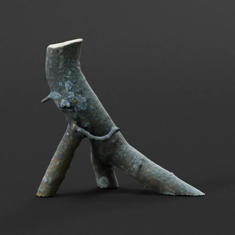 Photoscanned Stick