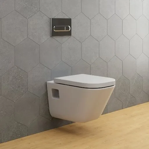 Wall Hung Toilet