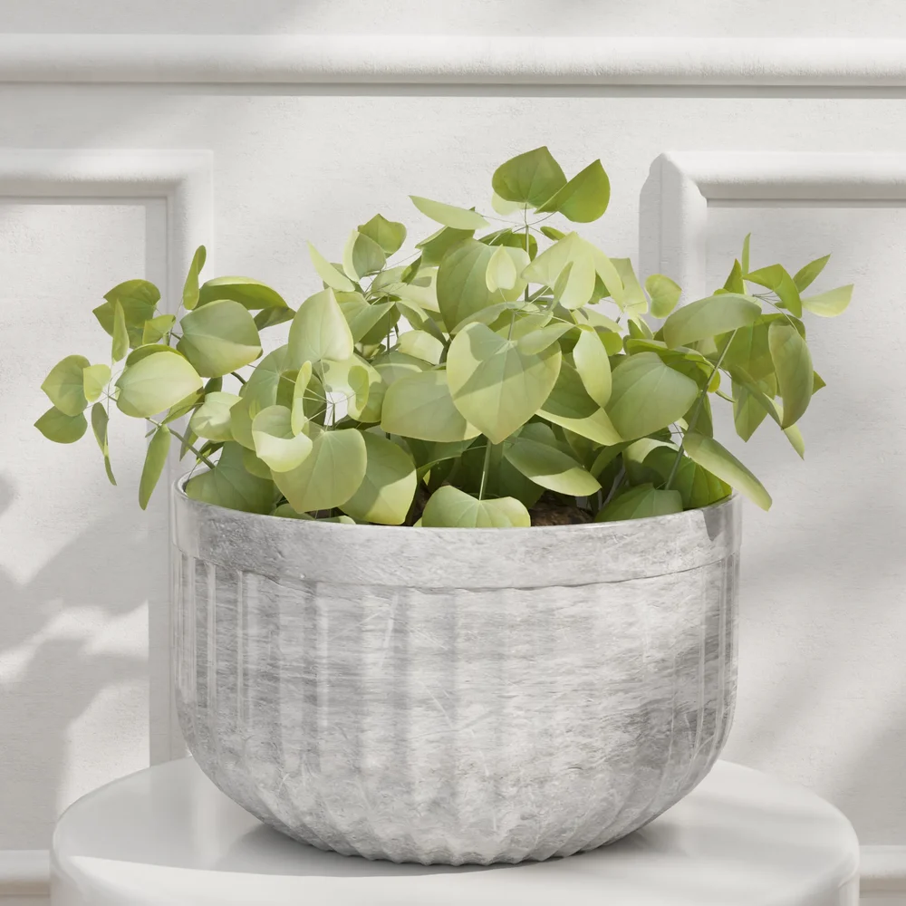 Modern Leafy Plant