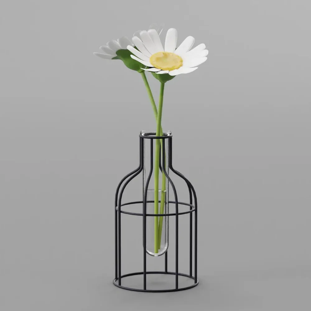 Daisy Flower In Wire Glass Tube