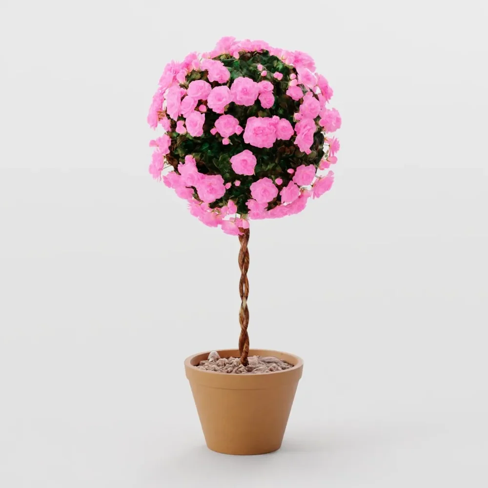 Rose Bush Standardised Pink