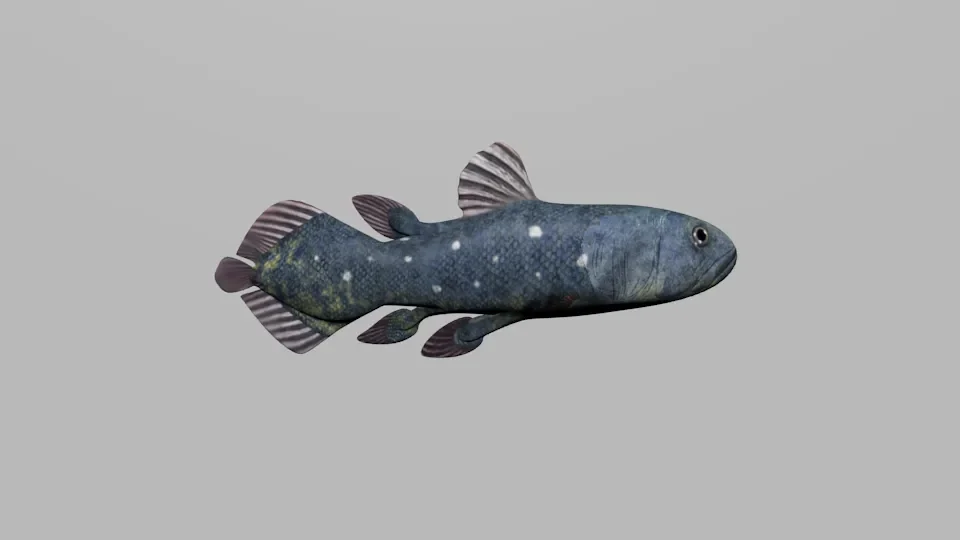 Low Polly Coelacant Fish
