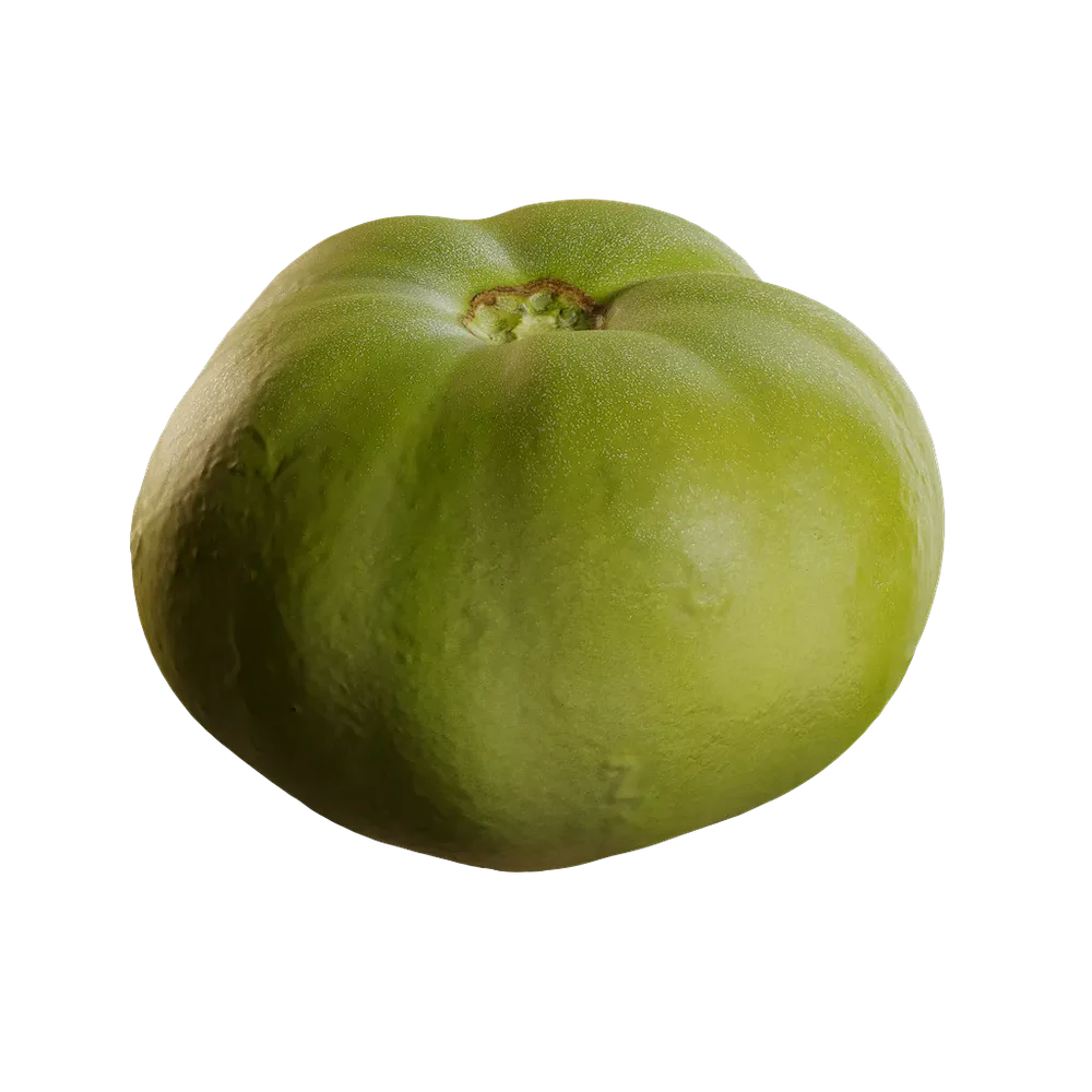 Lycopersicon Esculentum