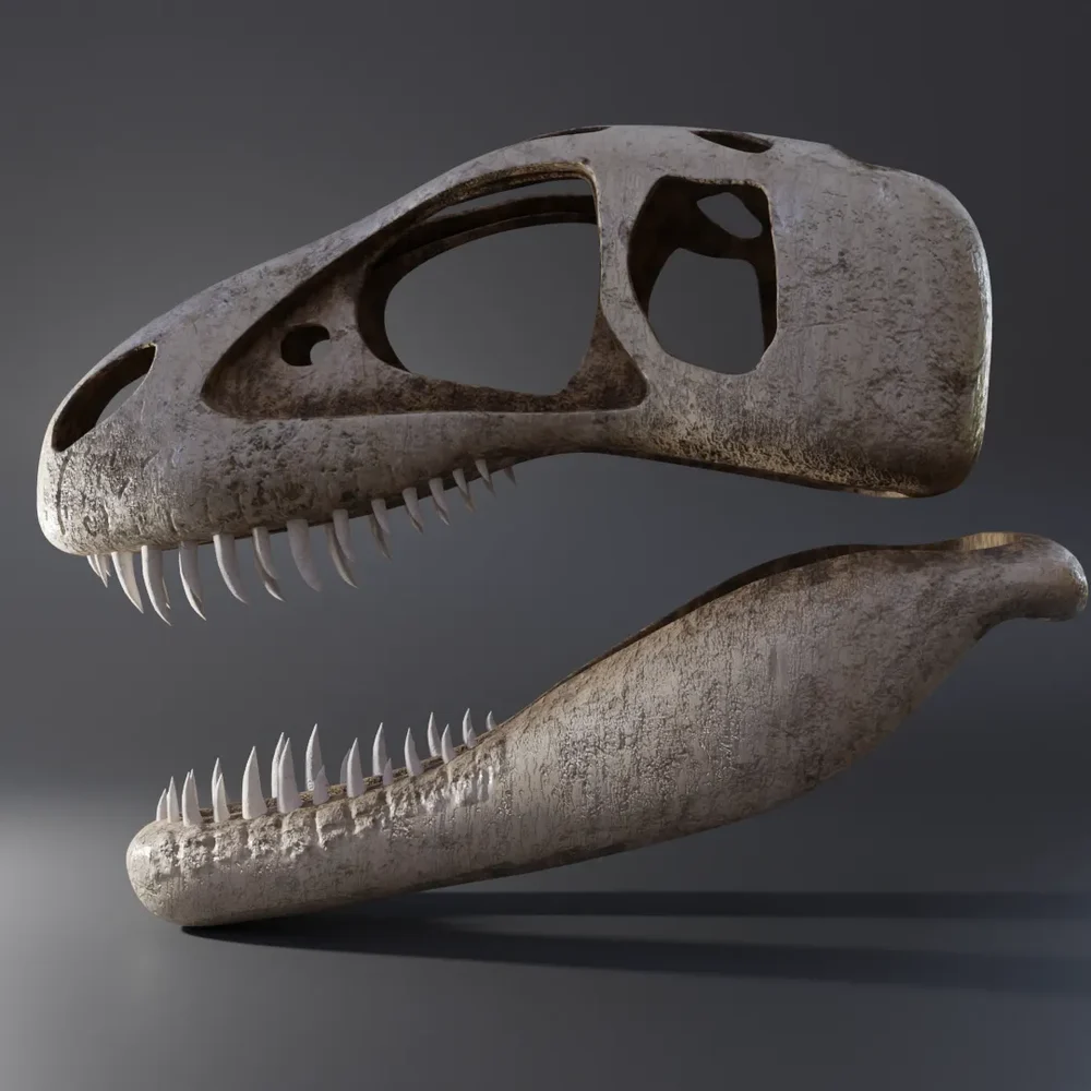 Trex Skull