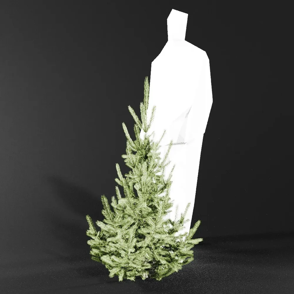 Norway Spruce Picea Abies 1.2m