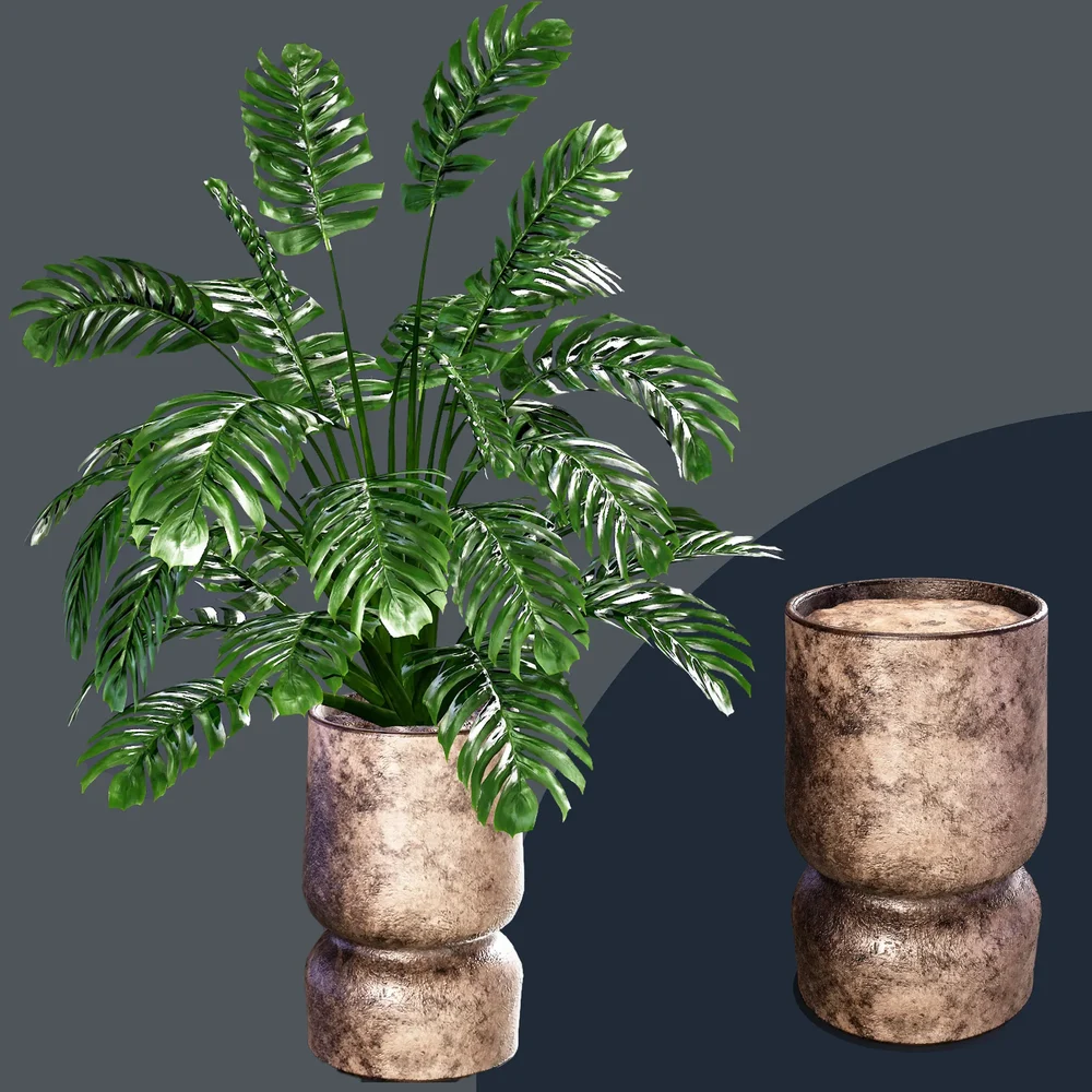 Sj-Monstera 02