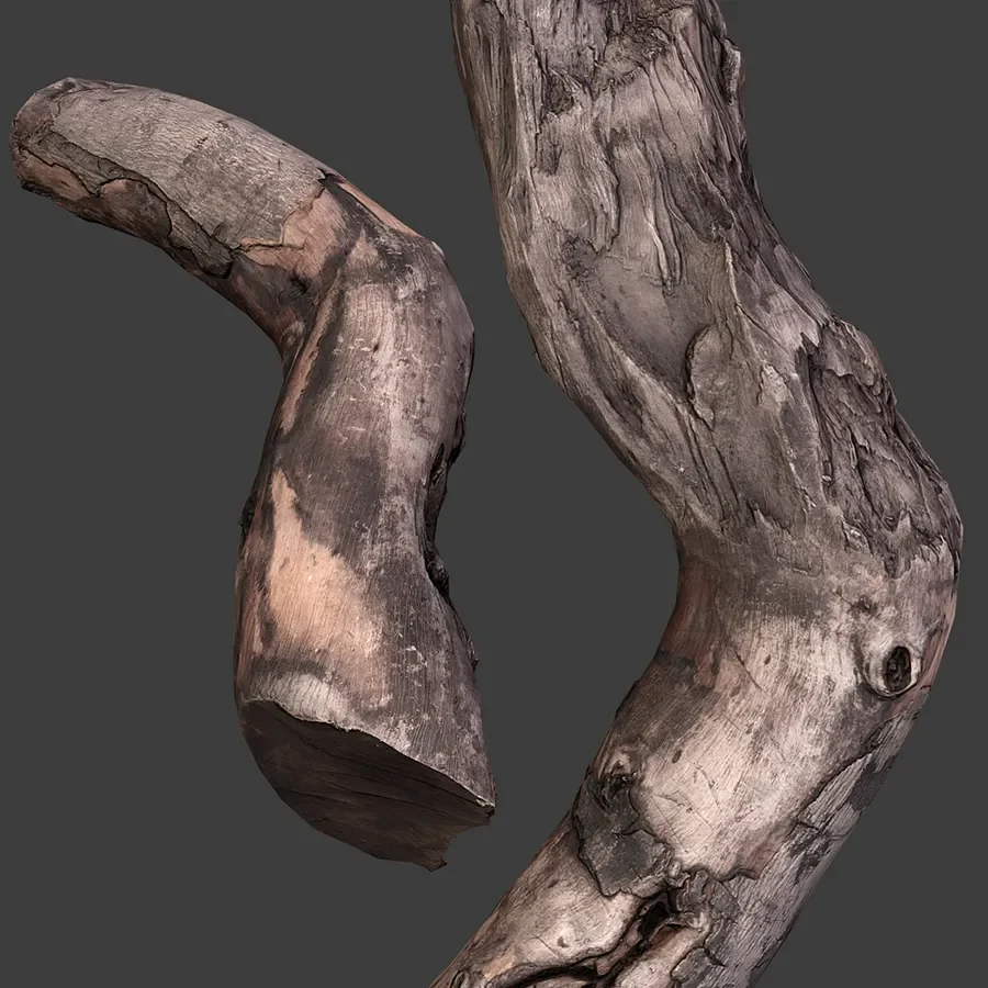 Cut Off Branch