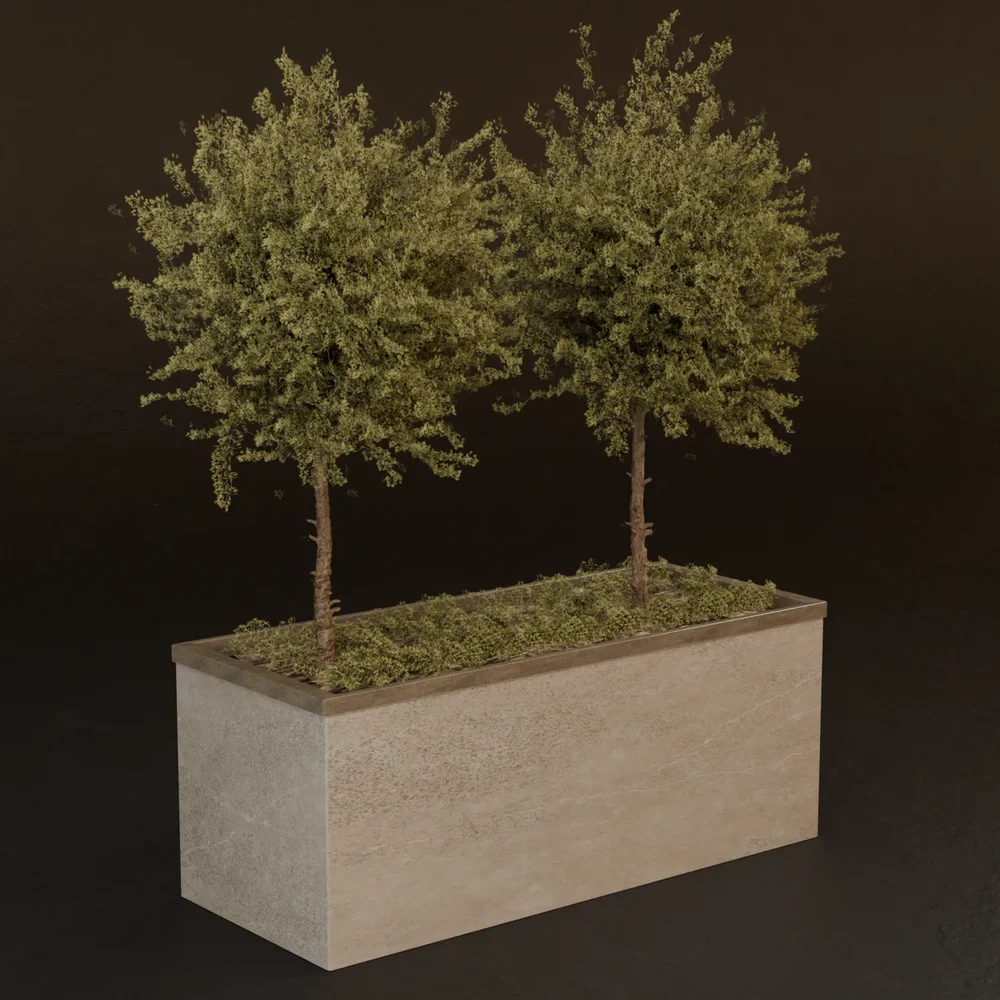 Sj-Urban Elegance Nature Blend