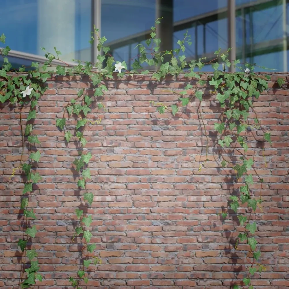 Ivy Creeper Big Wall Ledge 01
