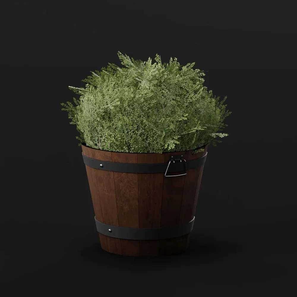 Boxwood Bush Round Pot Sml