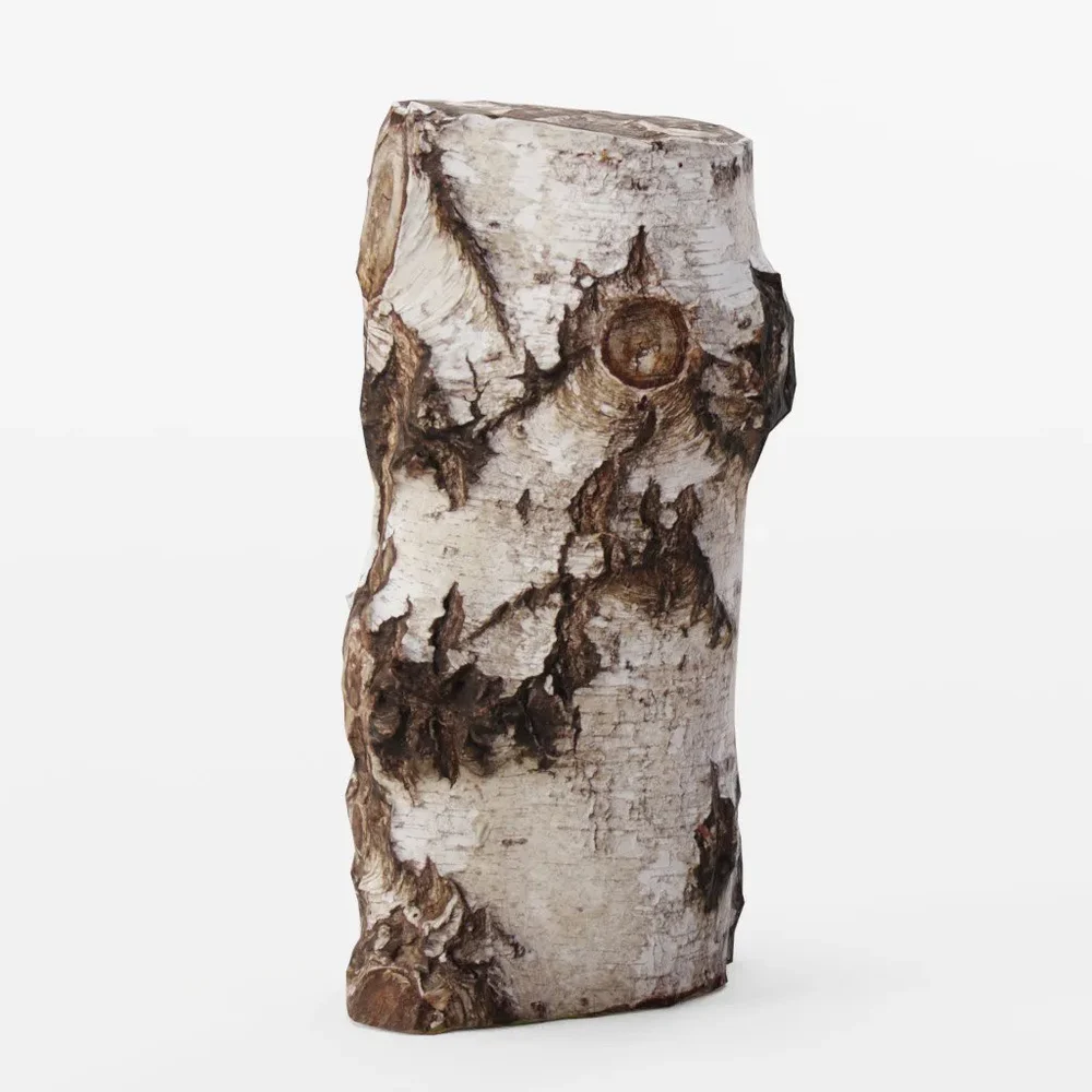 Birch Tree Trunk 02