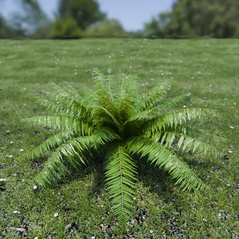 Hard Fern